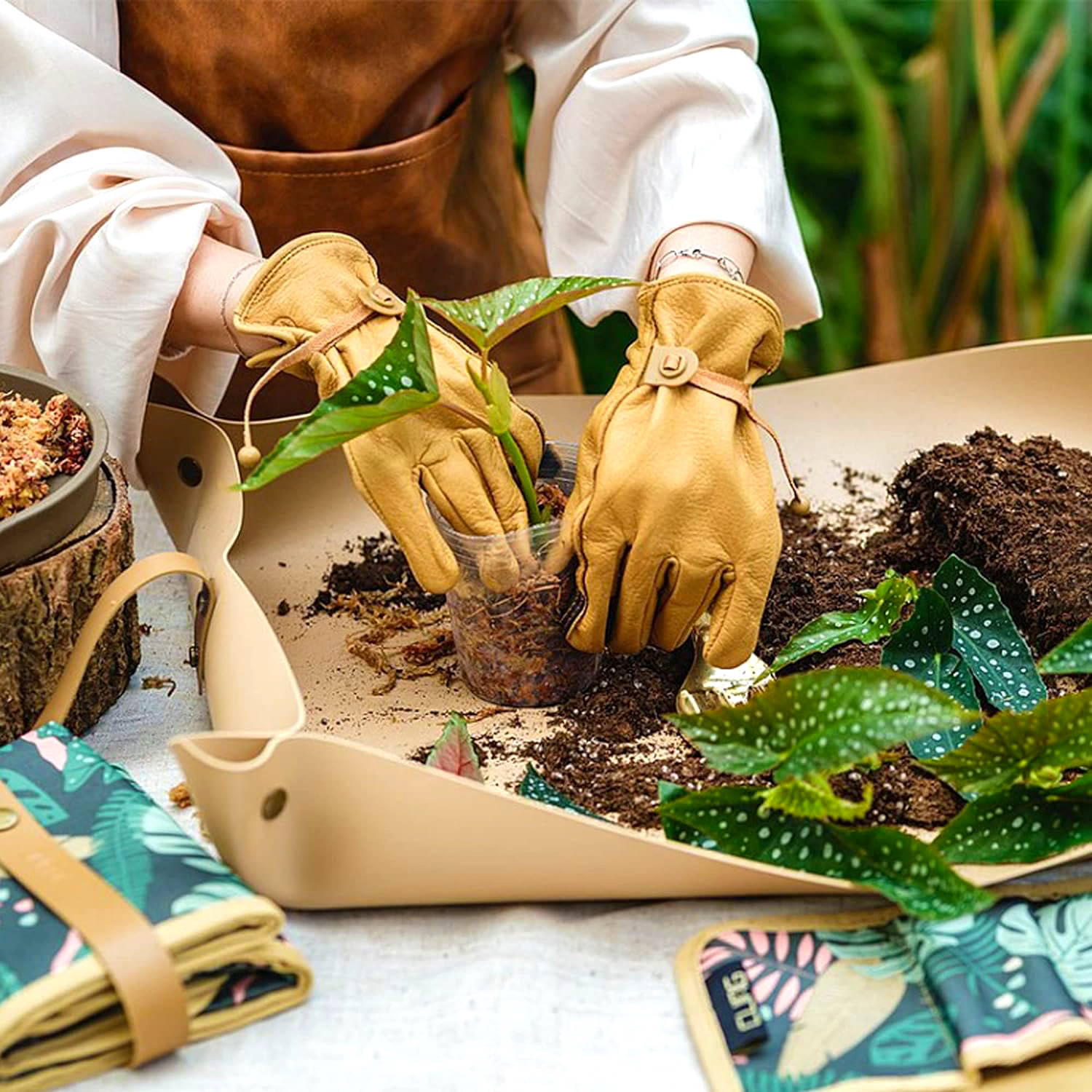 Plants, Seeds & Happy Weeds! cover photo collage