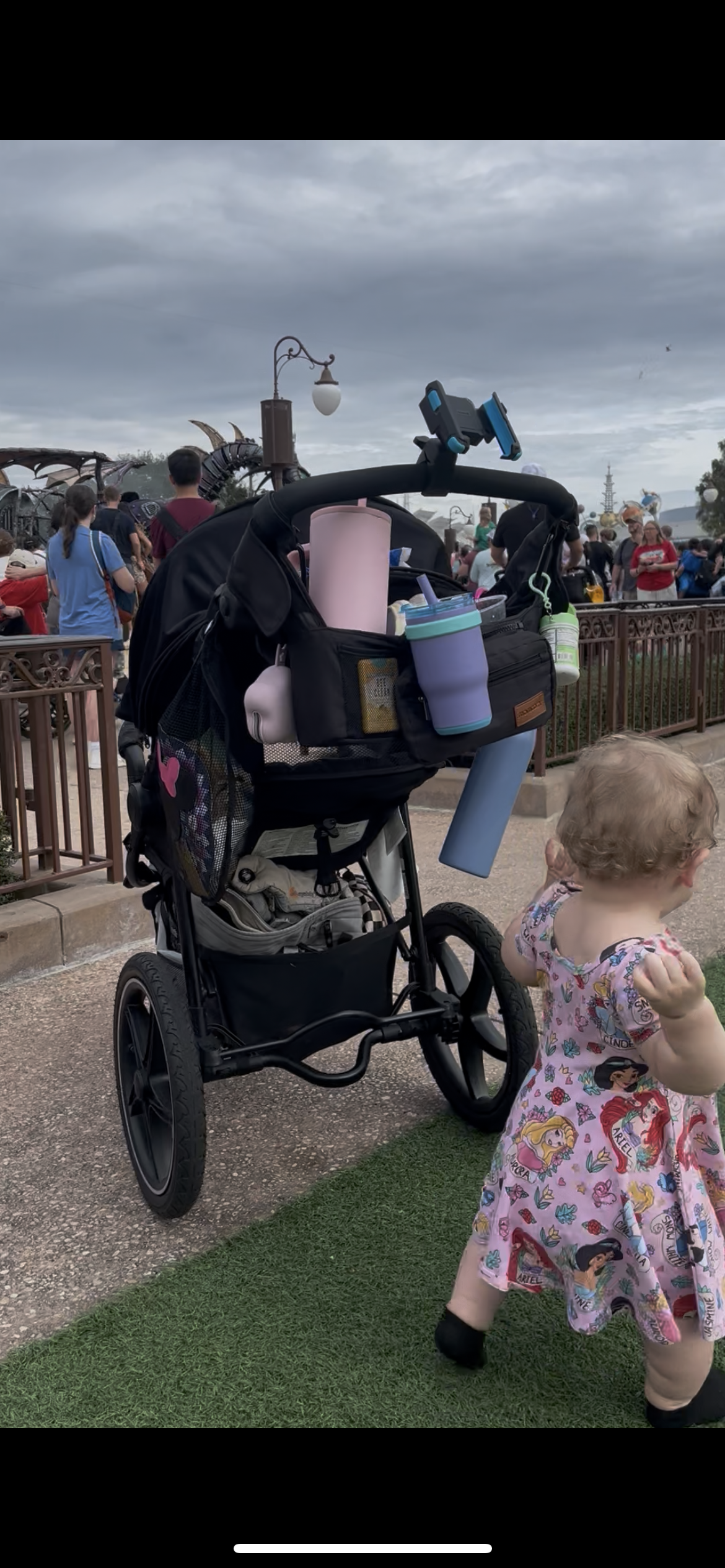 Disney with Kids Essentials: Must-Haves for Stress-Free Magic cover photo collage