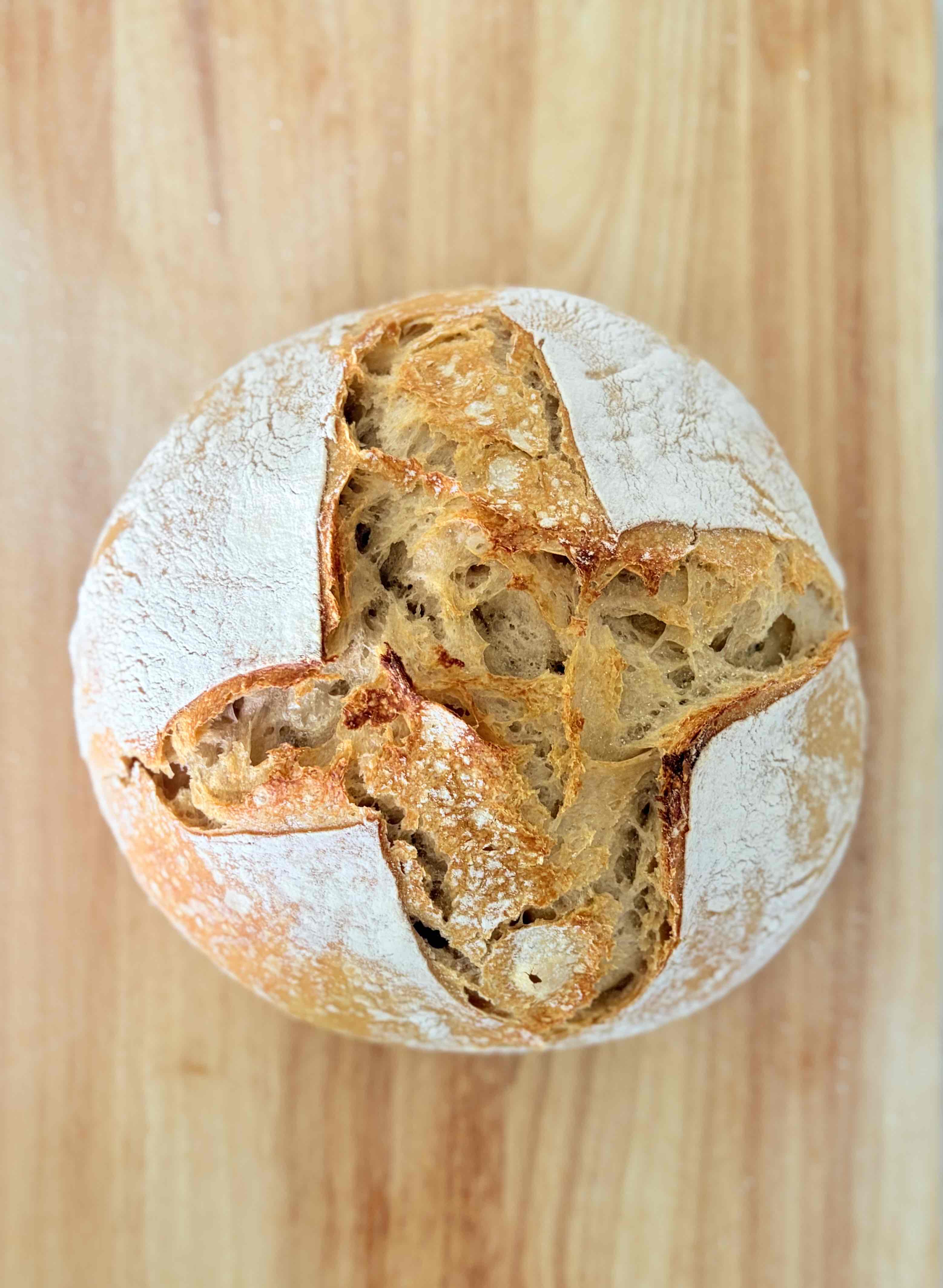 Sourdough must haves! cover photo collage