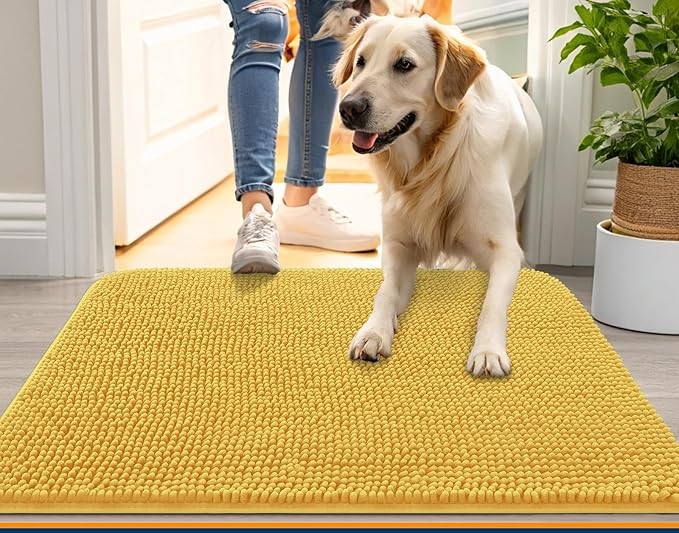 Dog Walking Must Haves cover photo collage