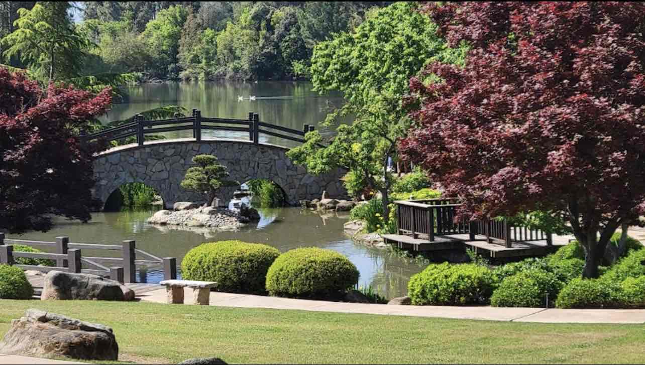 Things To Do In Fresno,CA cover photo collage