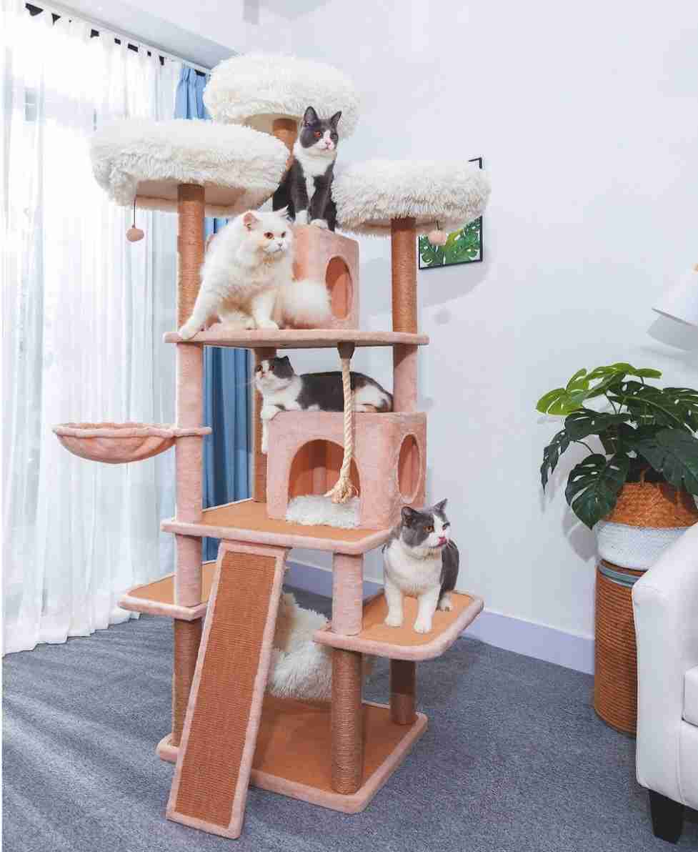 Aesthetic Cat Essentials 🪅🧶🧺😻 cover photo collage