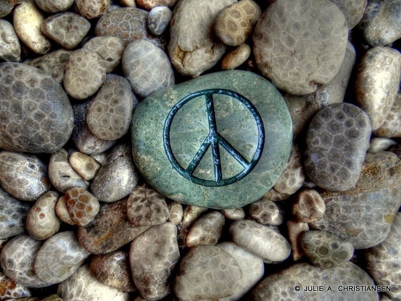 everything to embody the earthy, boho style cover photo collage