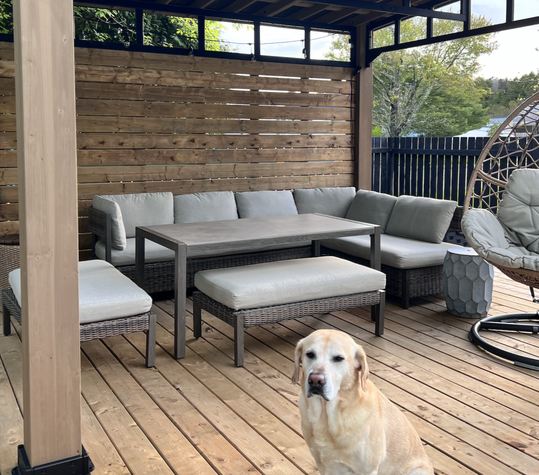 🌻 How I turned my backyard into a staycation oasis cover photo collage