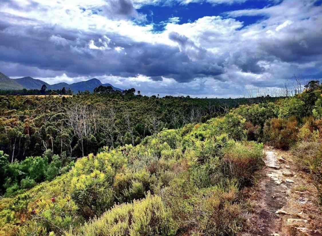 Fall Vibes in Port Elizabeth🇿🇦🍂🍁: Cozy Escapes, Scenic Spots & Seasonal comfort ♥️ cover photo collage