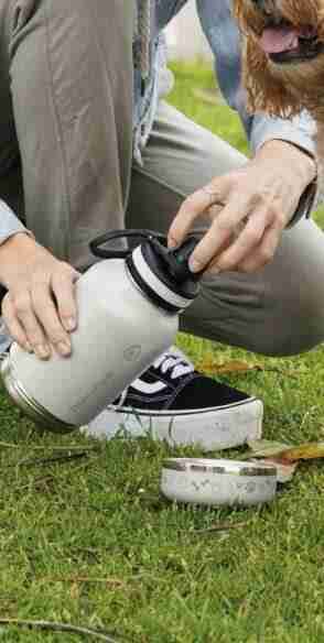 Daily essentials cover photo collage