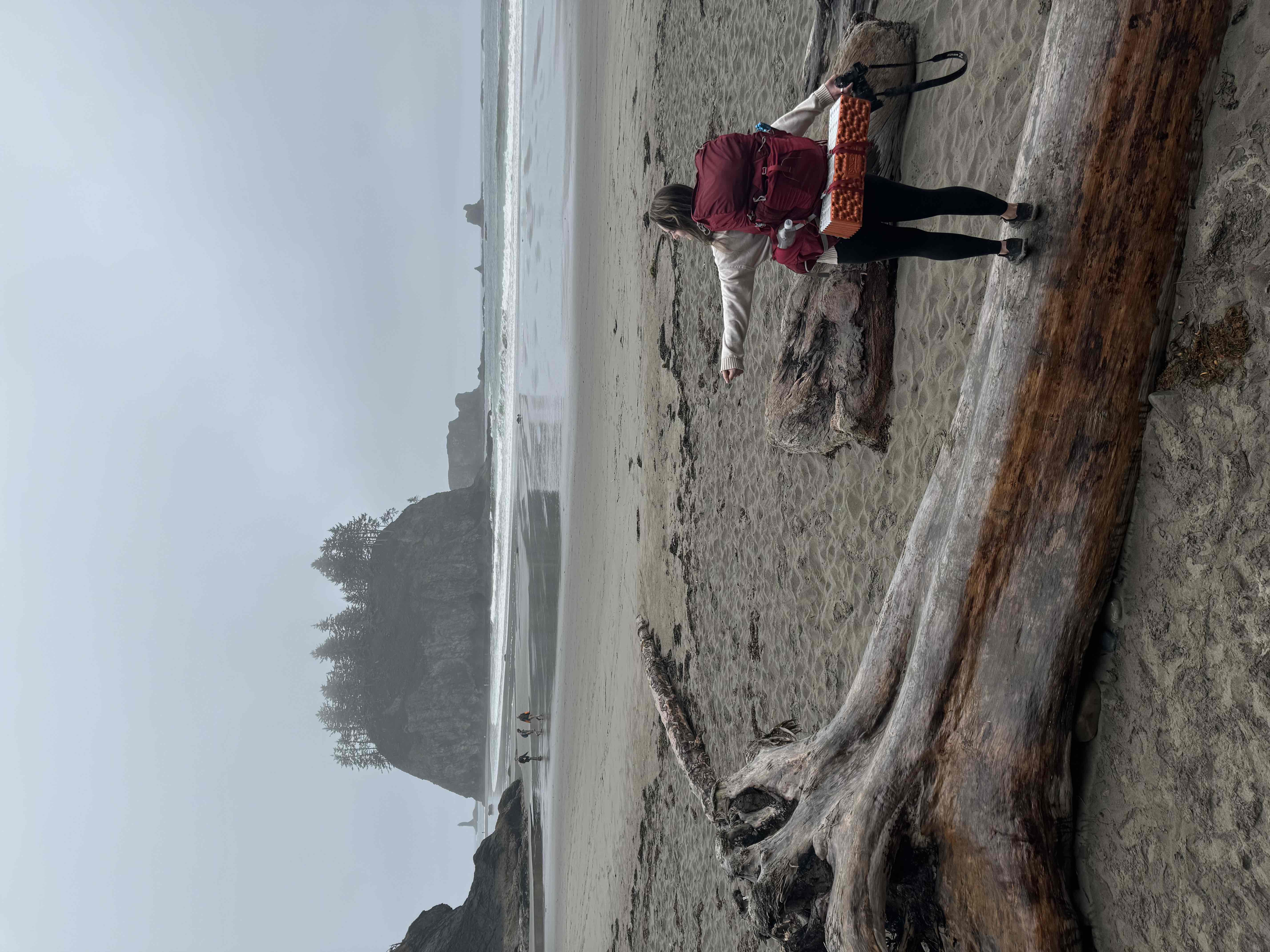 My outdoor adventure favorites cover photo collage