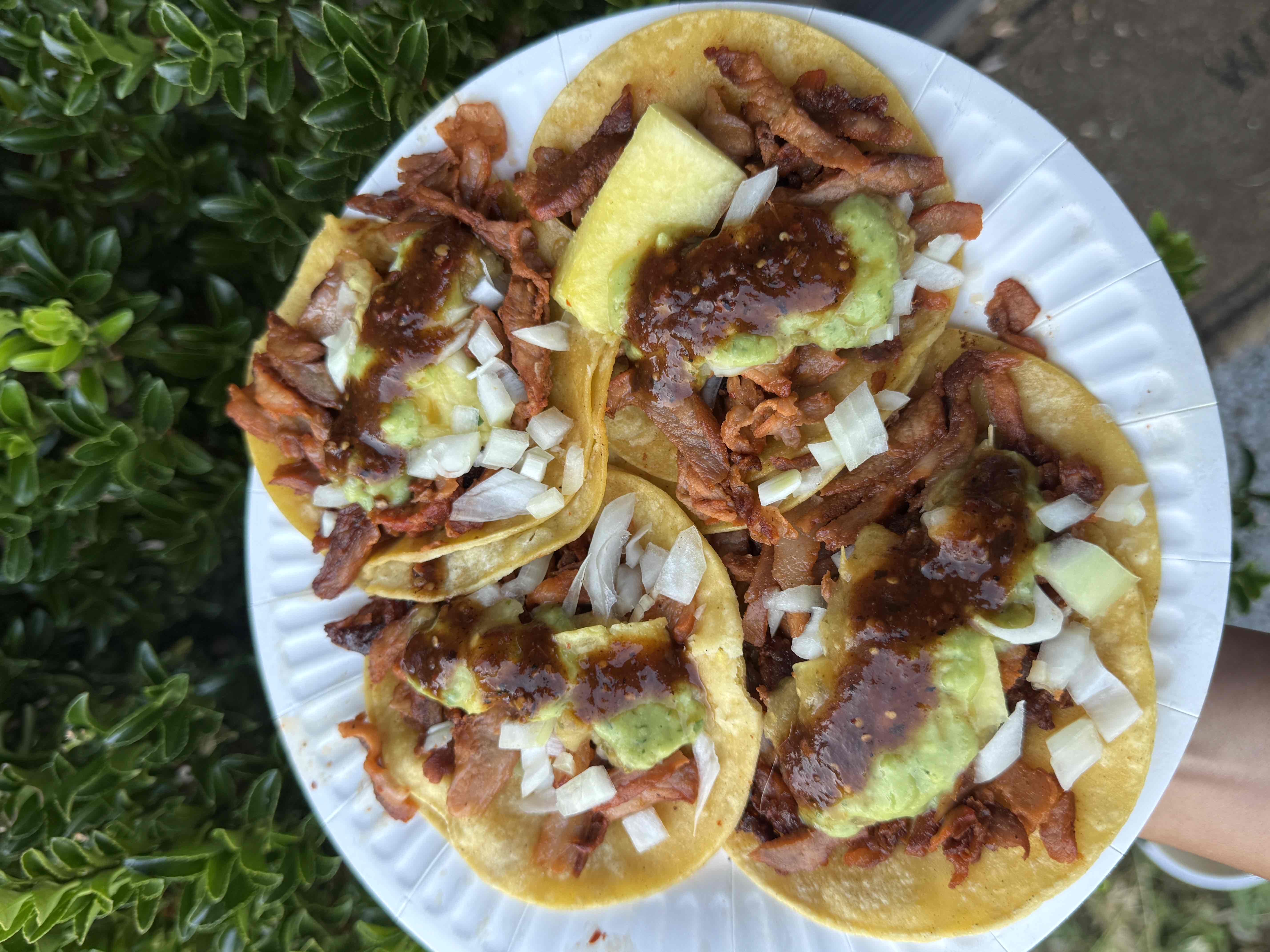 Best margaritas and tacos in Seattle (from a native Texan!) cover photo collage
