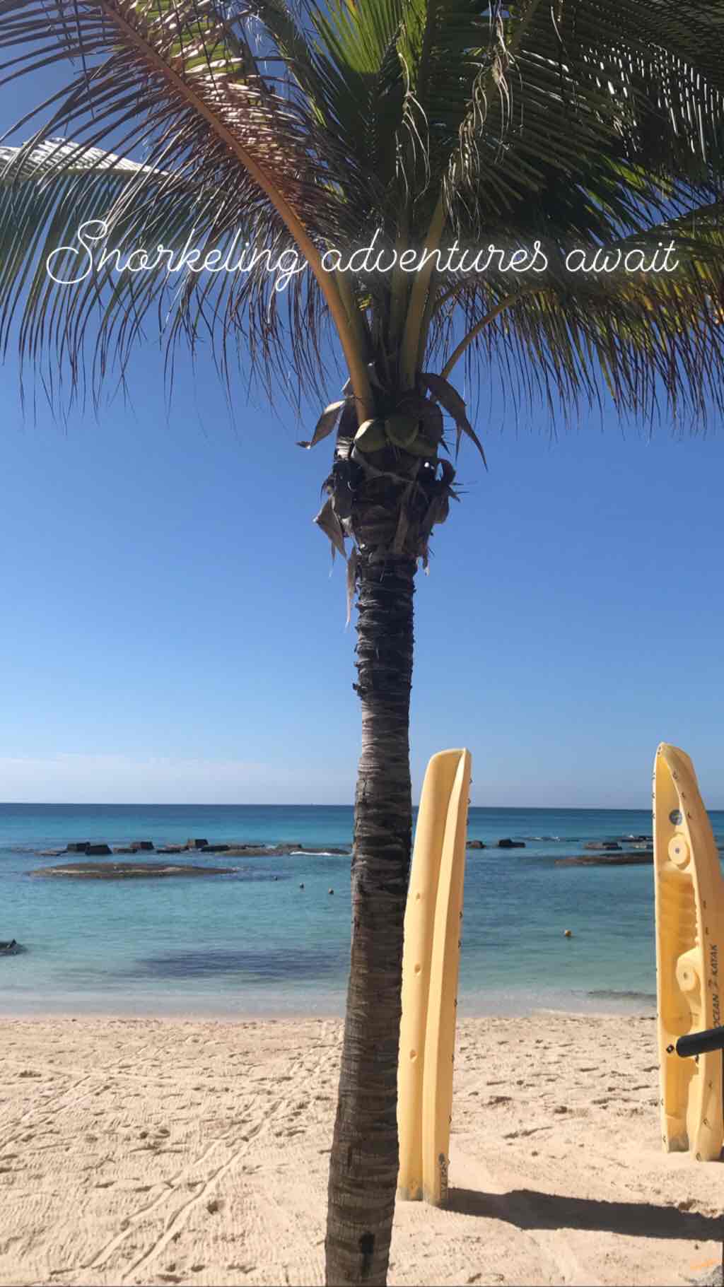 What I’m Packing: Beach Babe Edition 🏝️ cover photo collage