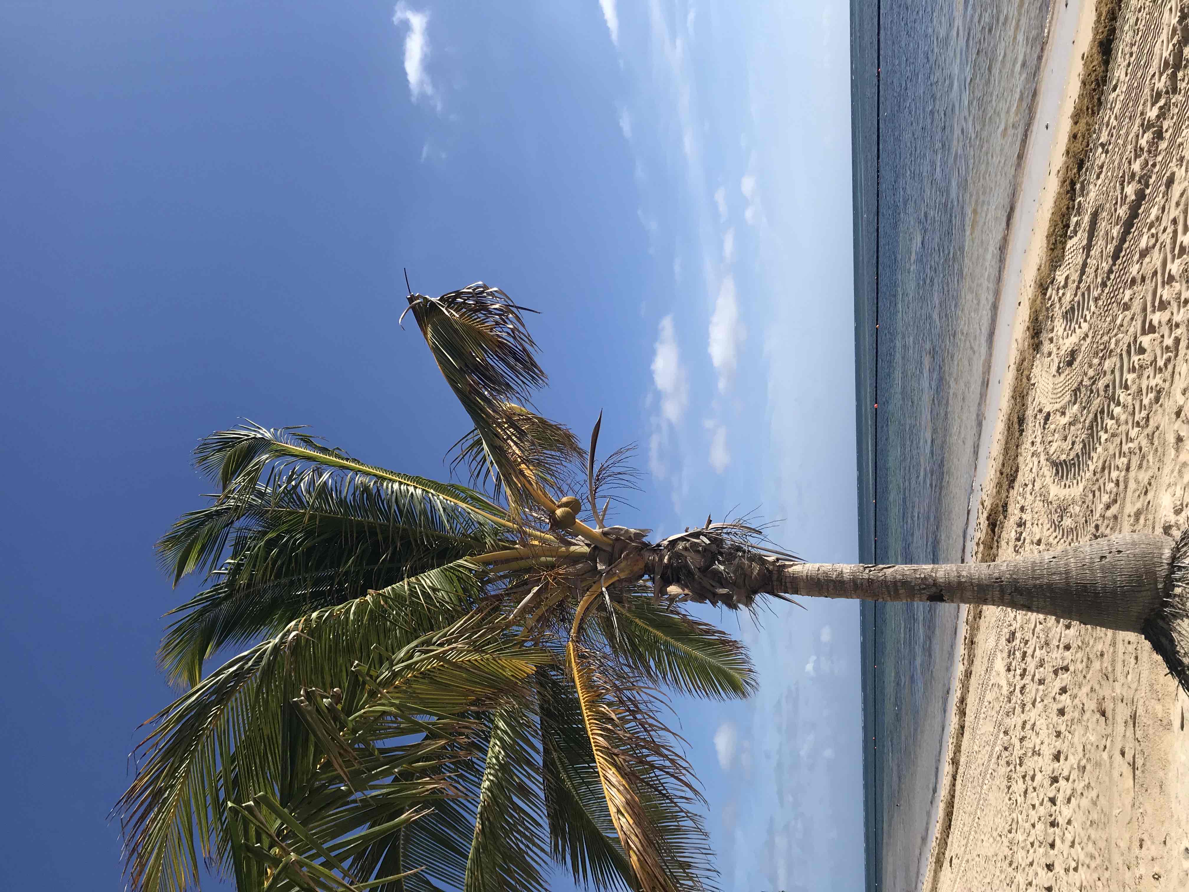 What I’m Packing: Beach Babe Edition 🏝️ cover photo collage