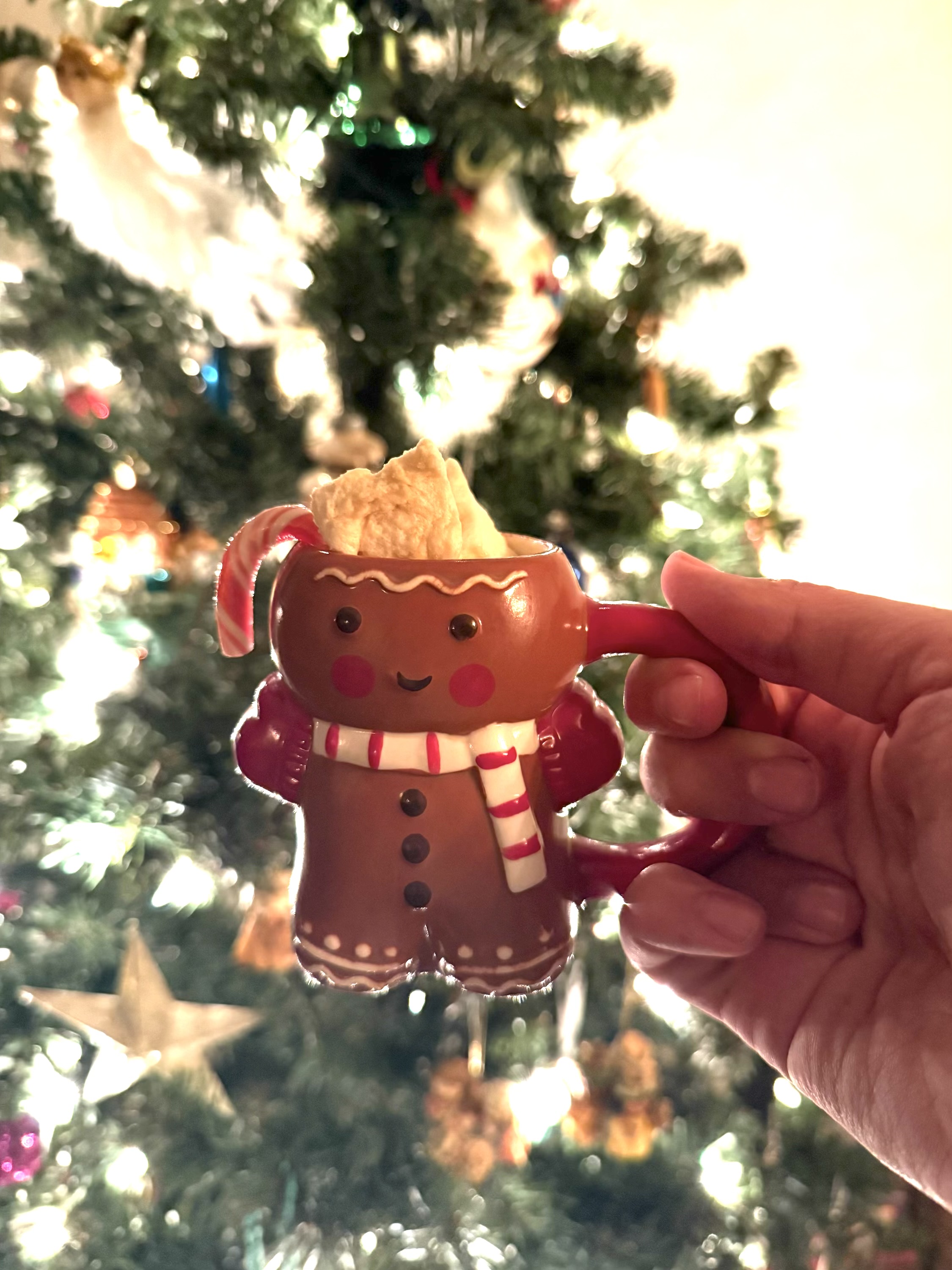 Family Style Hot Cocoa Supplies cover photo collage