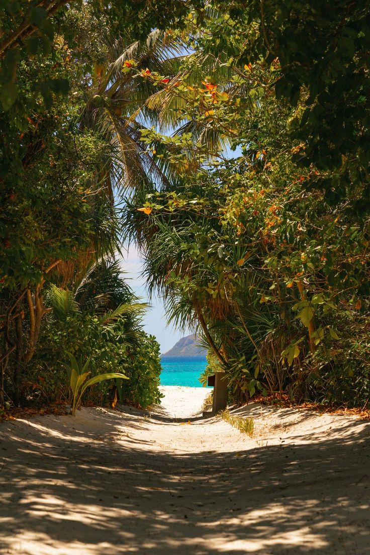 🇵🇭 Discover the Ultimate Guide to Philippine Island Luxury 🏝️✨ cover photo collage