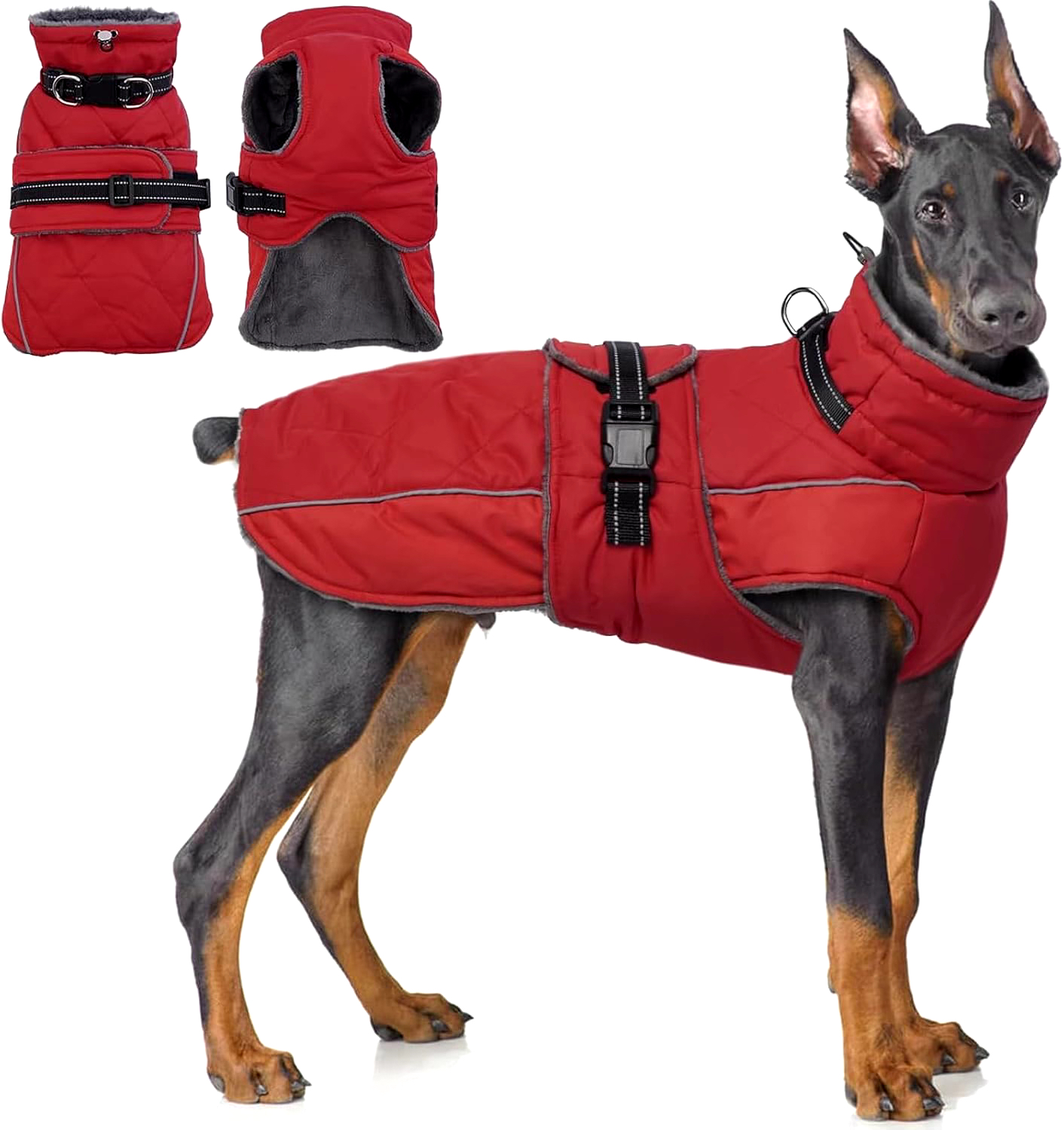 Colorado Dog & Dog Mom Essentials cover photo collage