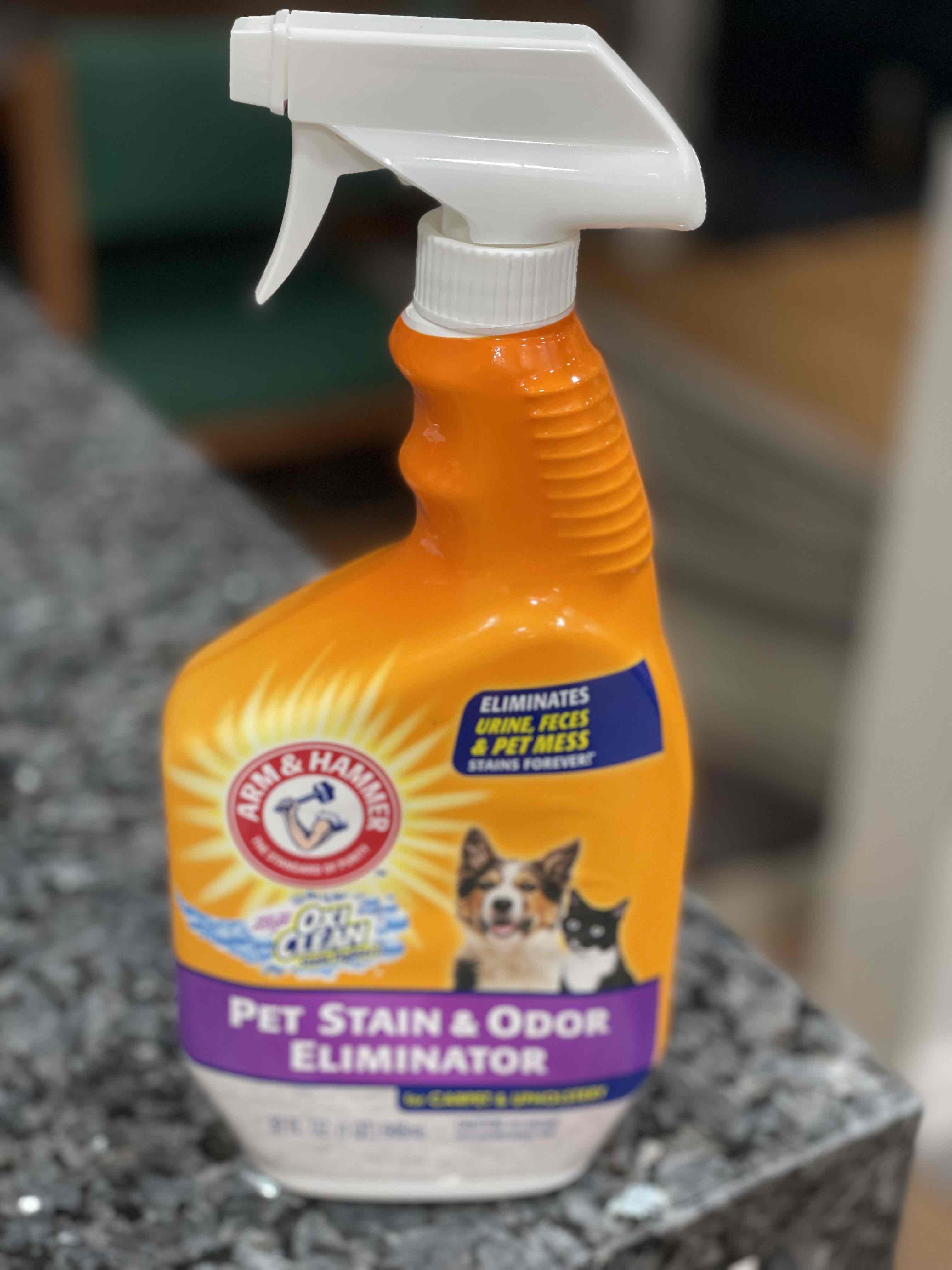 How To Keep Your House Clean With Pets cover photo collage