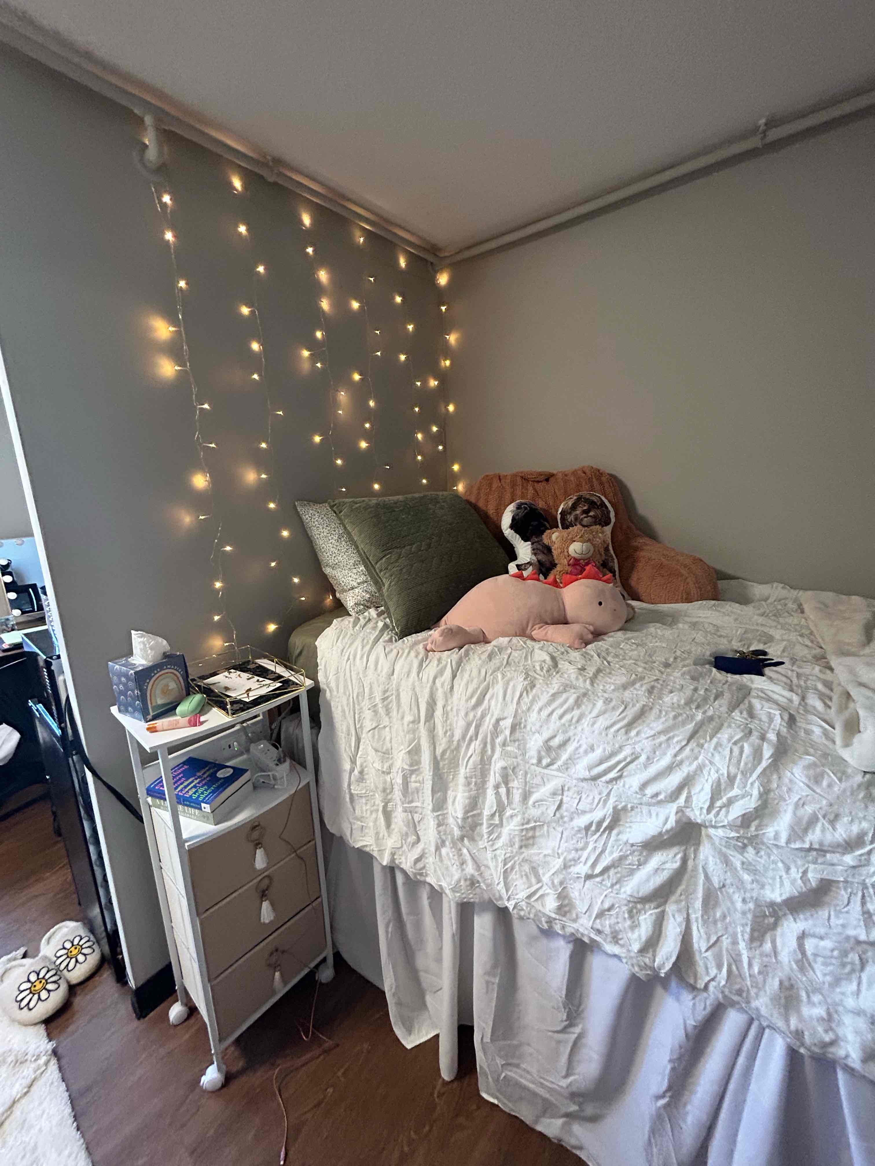 COLLEGE ESSENTIALS👩‍🏫💕 cover photo collage