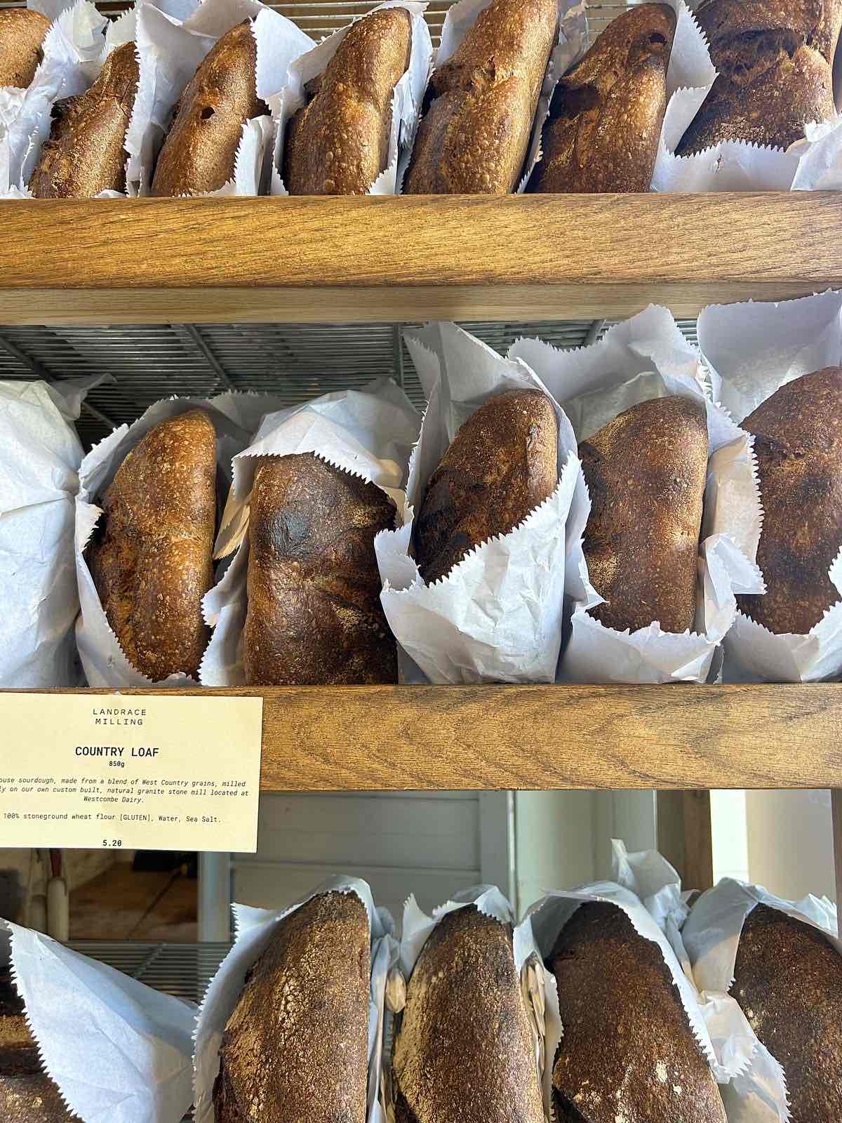 Insider’s Guide to Travel Florence, Oregon cover photo collage