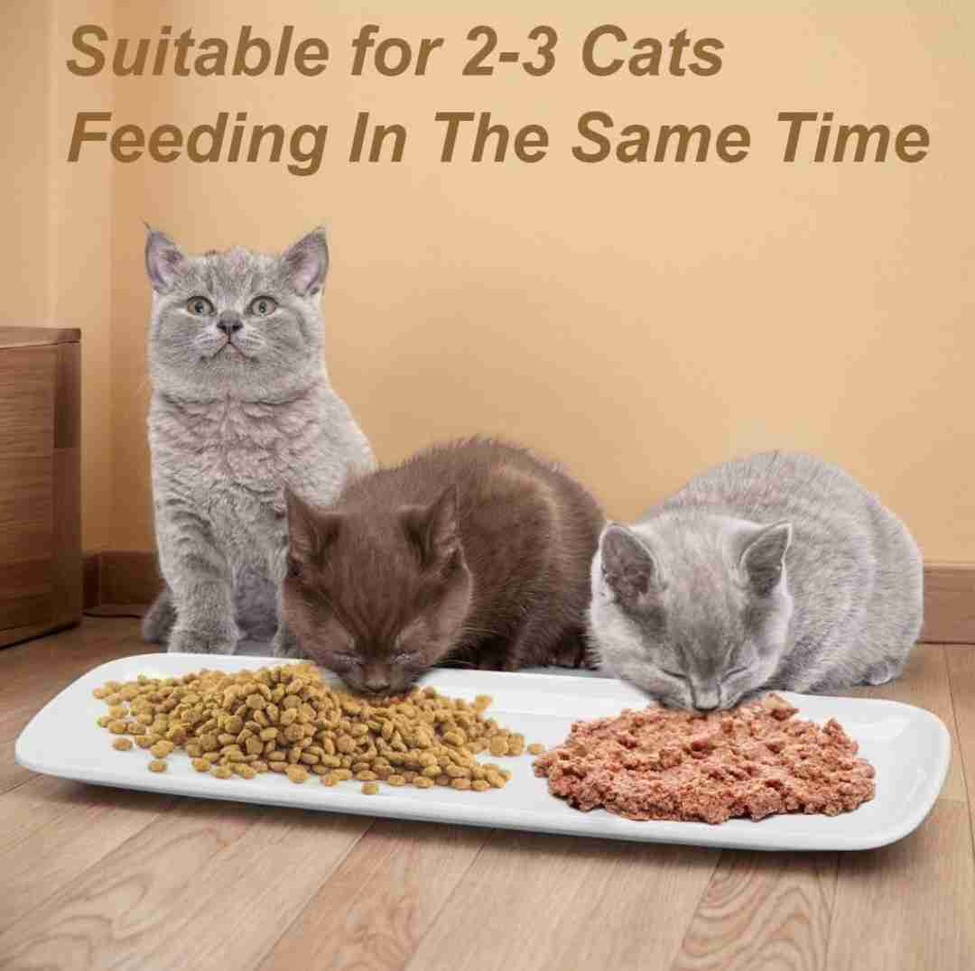 Cats are so unique, specific, and can be moody... they still deserve all the love! cover photo collage