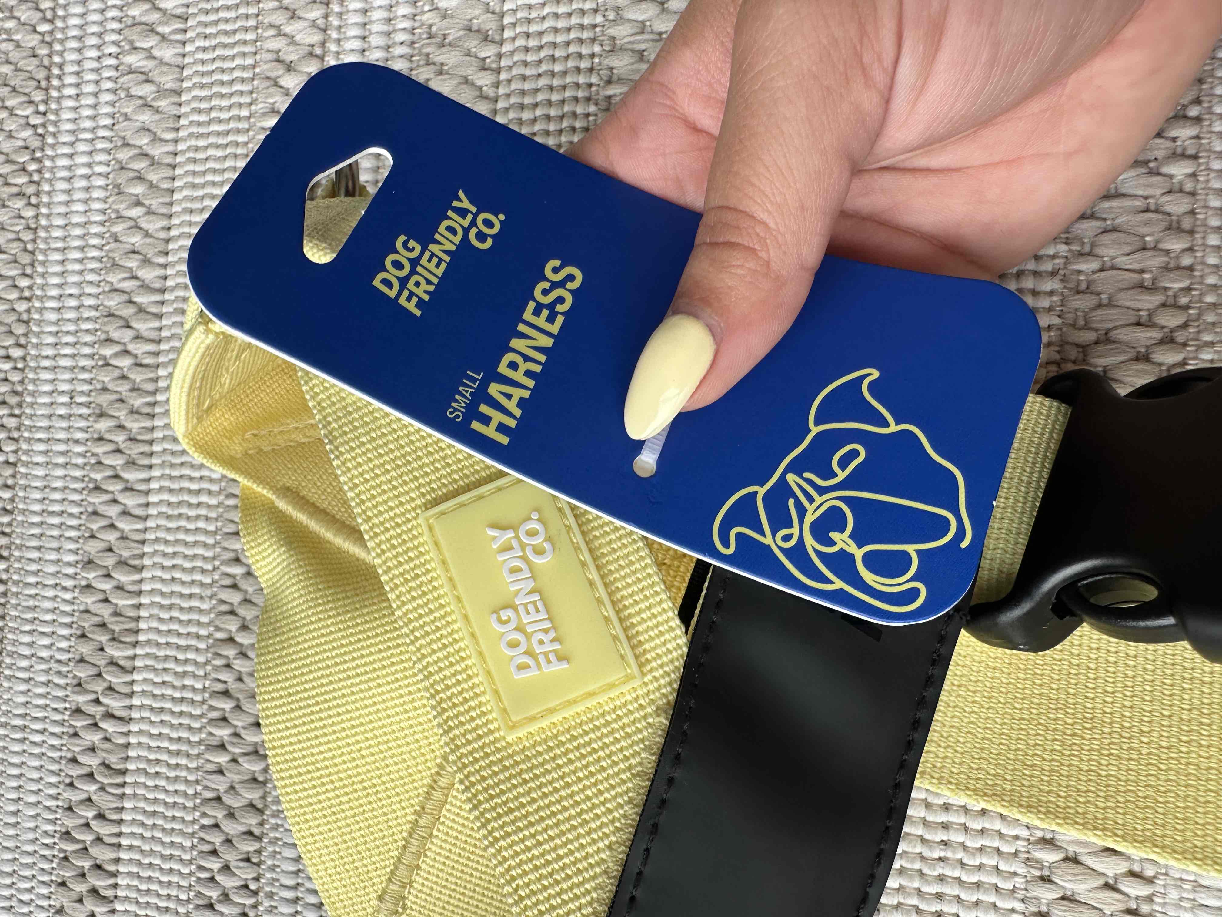 Dog Accessories & First Time Pup Favs ✨🐶 cover photo collage