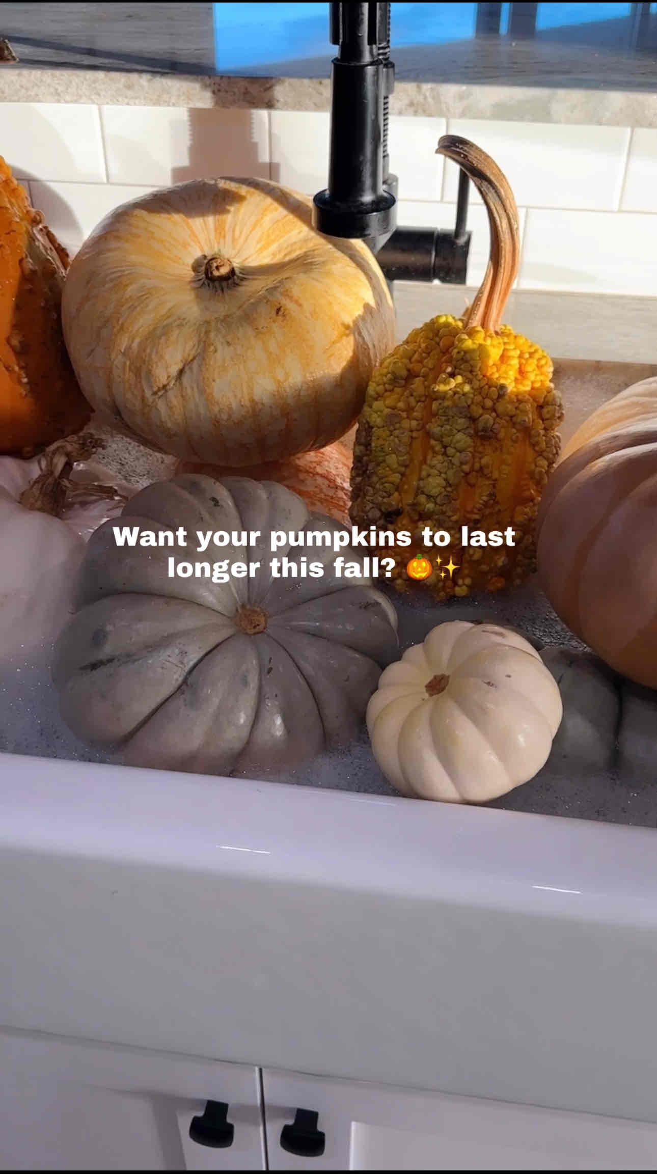 Fall & Halloween Home Decor 👻 🍂 cover photo collage