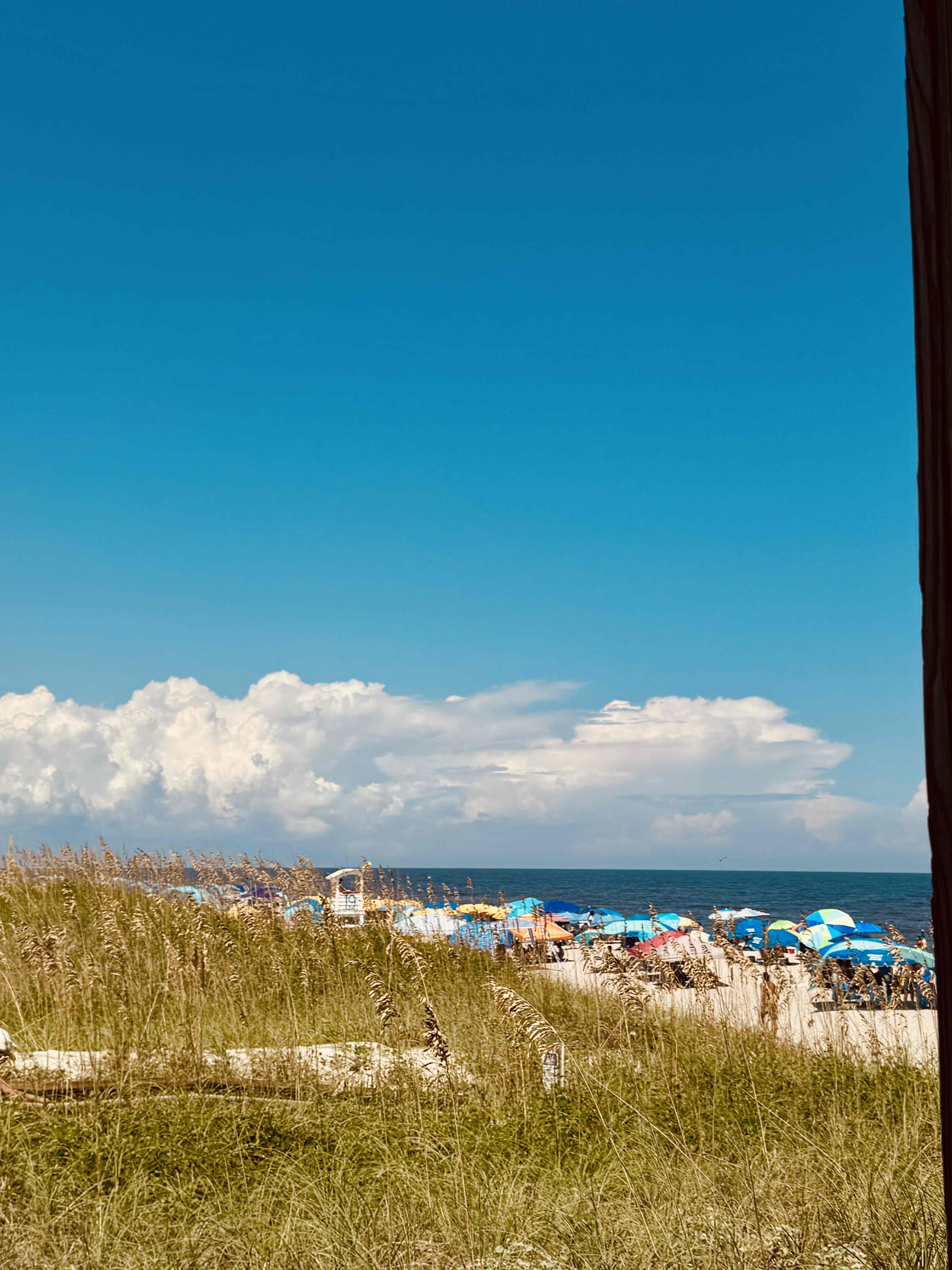 Explore North Carolina📍: My Top Picks🙌🏻 cover photo collage