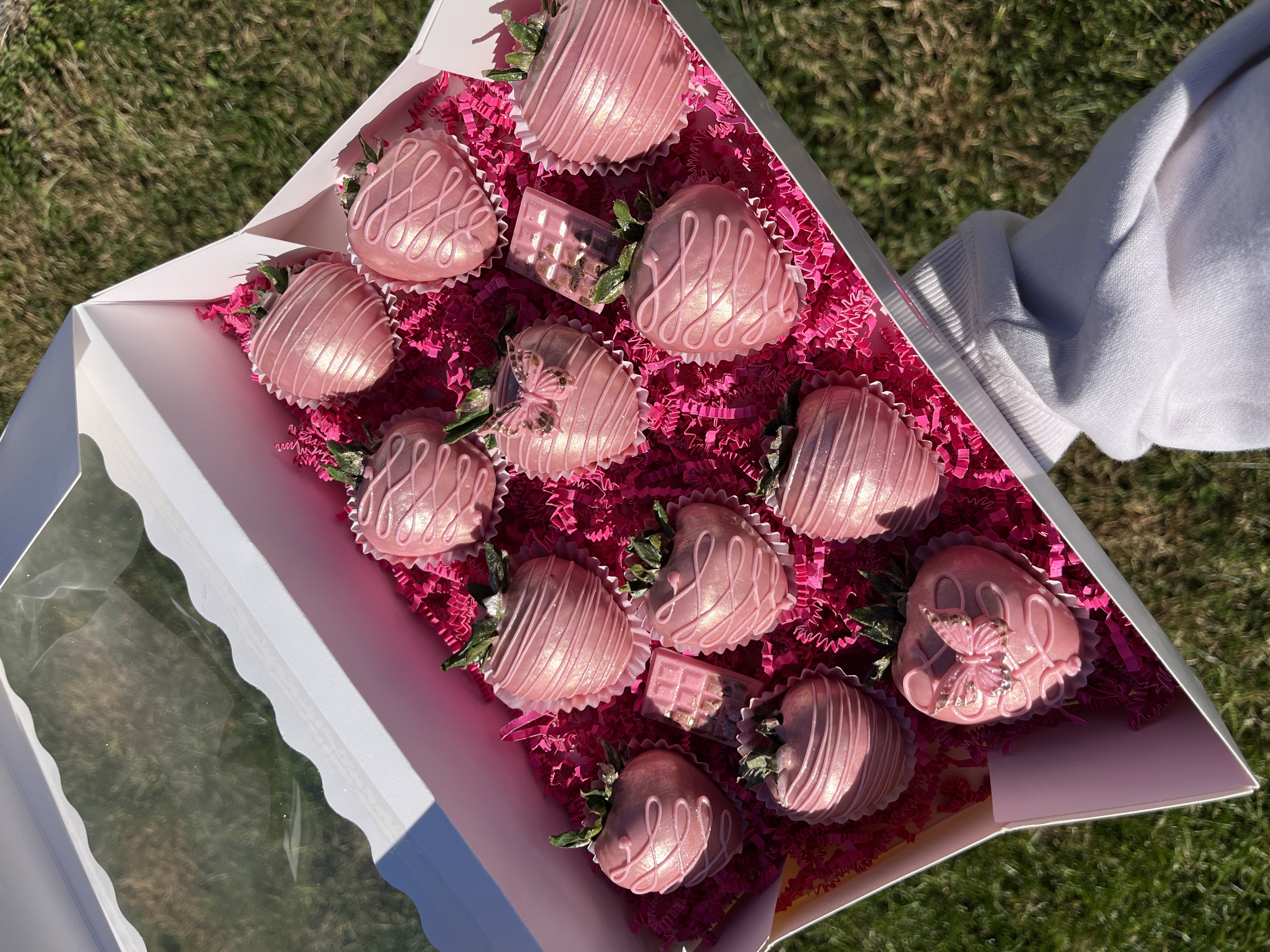 Beginner Treatmaker Essentials cover photo collage