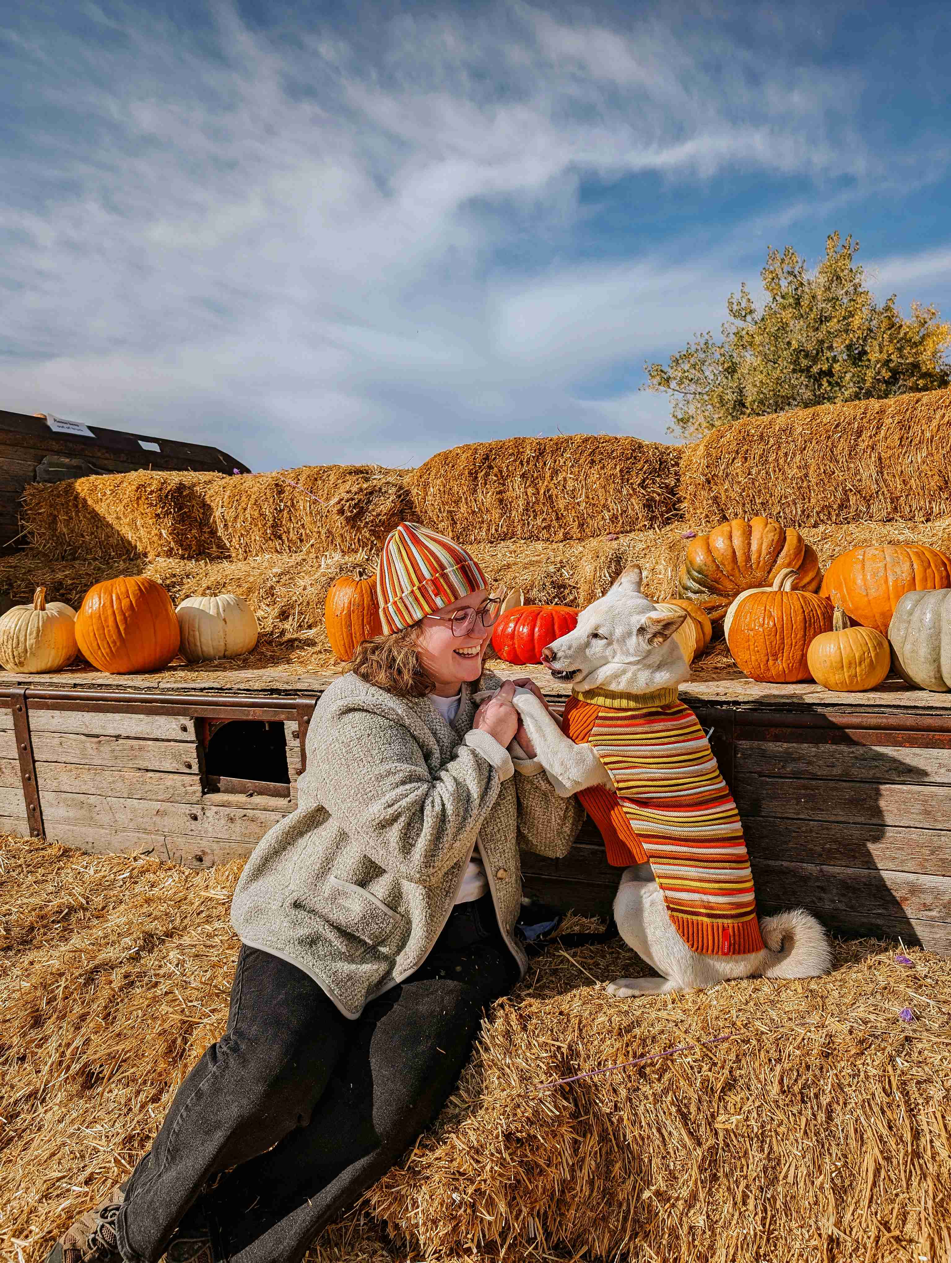 Fall Favs 2025 🎃🍂 cover photo collage