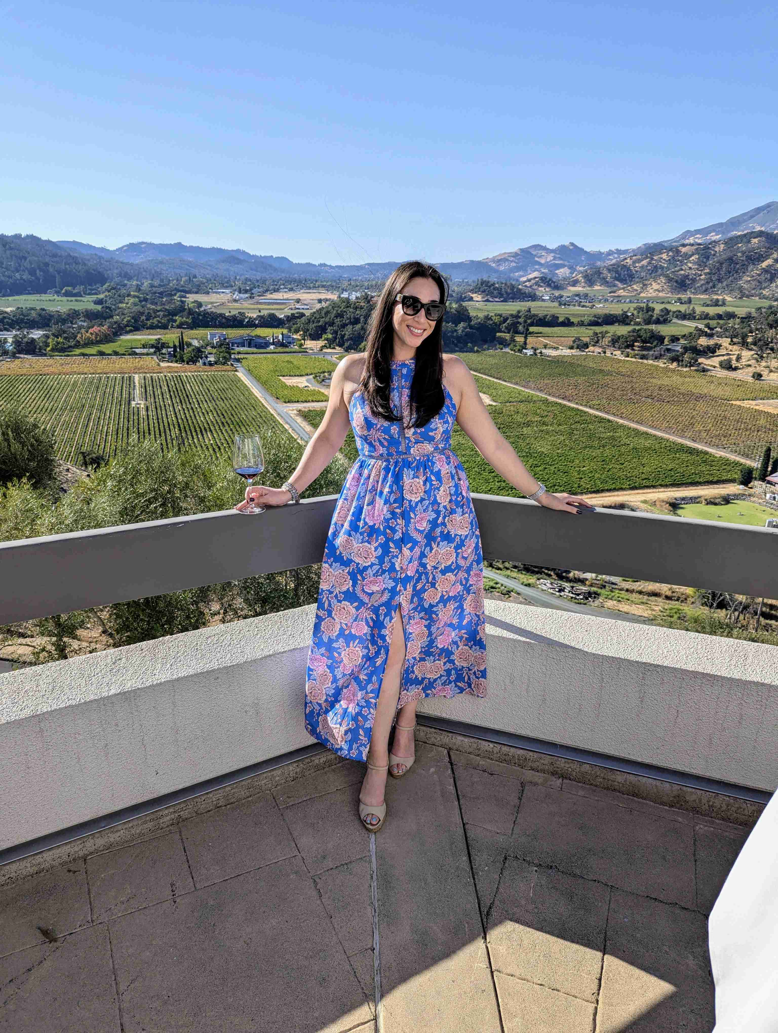 Napa Valley Must Trys cover photo collage