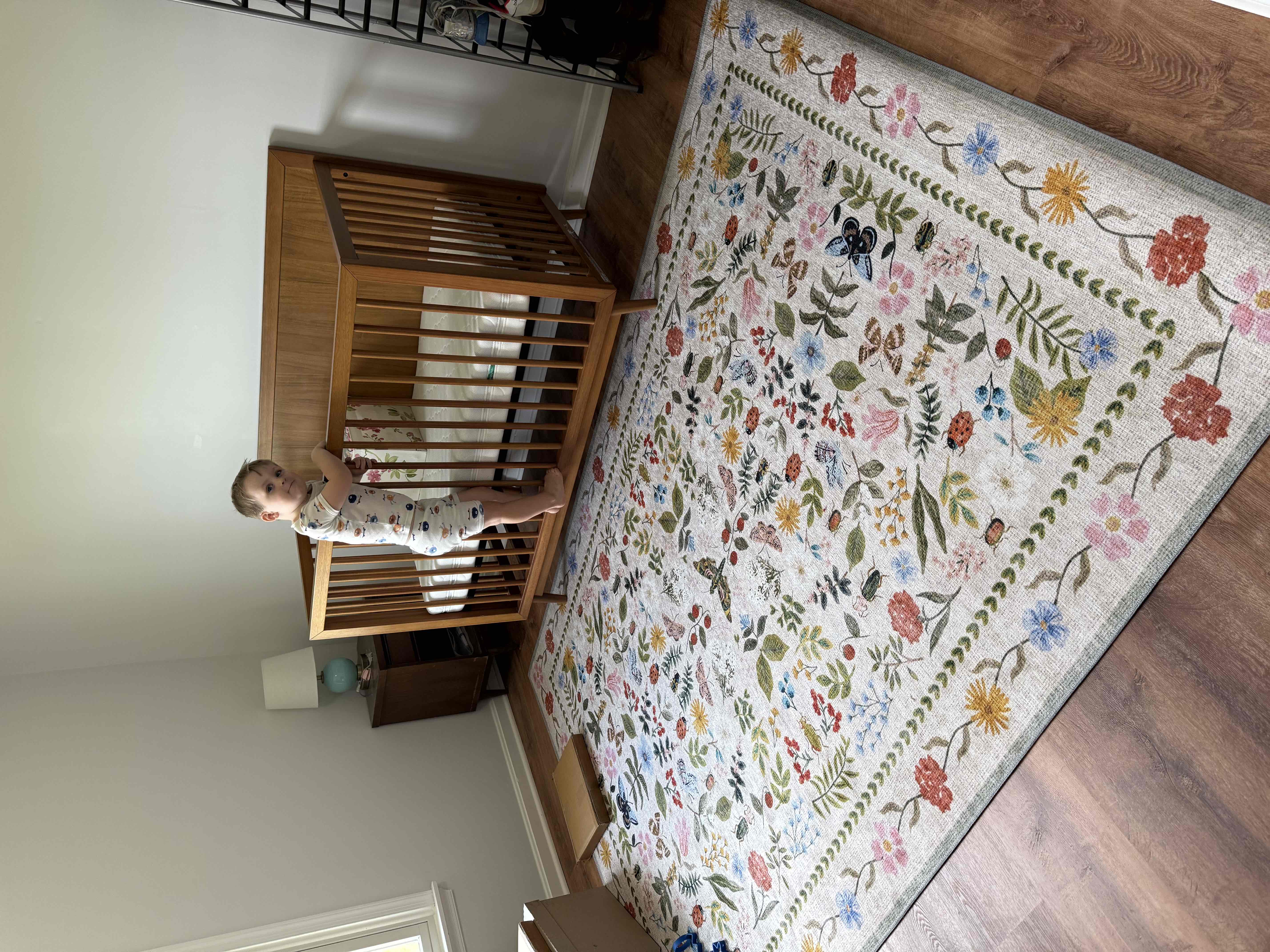 The Garden of Giggles: Baby Girl Nursery Inspo 🦋🐞🍃 cover photo collage