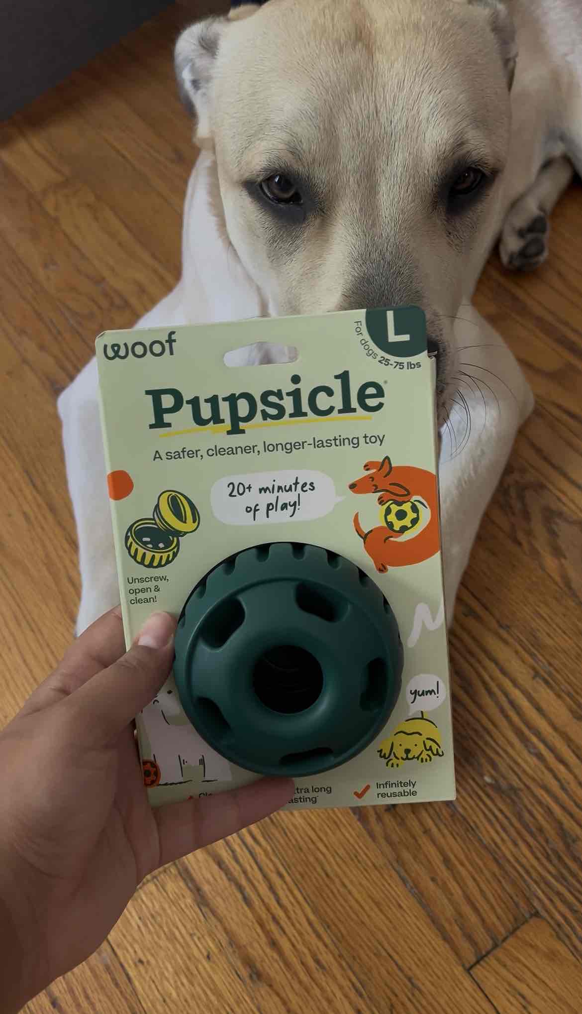 WOOF Pet Products - Obi's Favorite Brand! 😊 cover photo collage