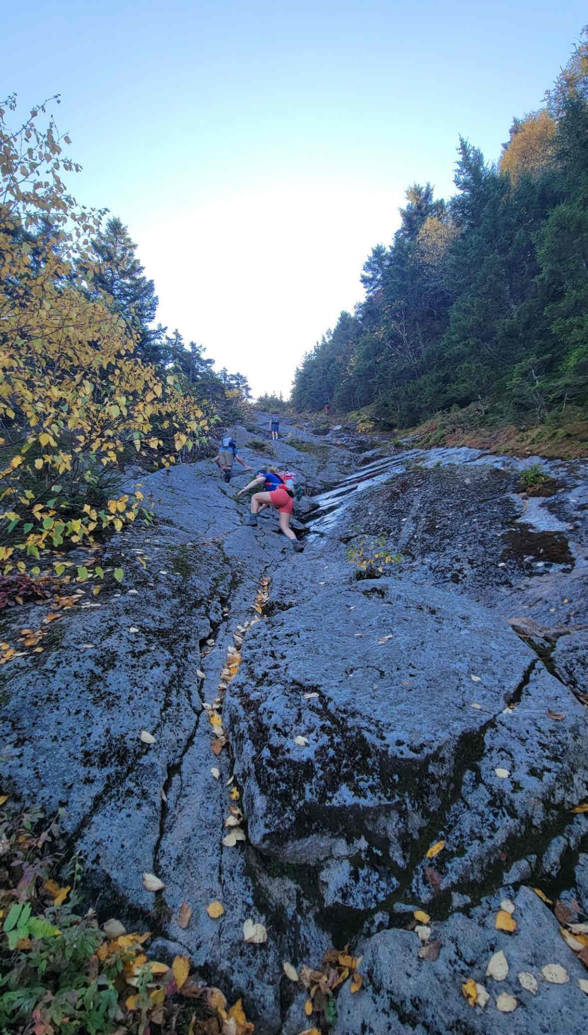 Hike with me! cover photo collage