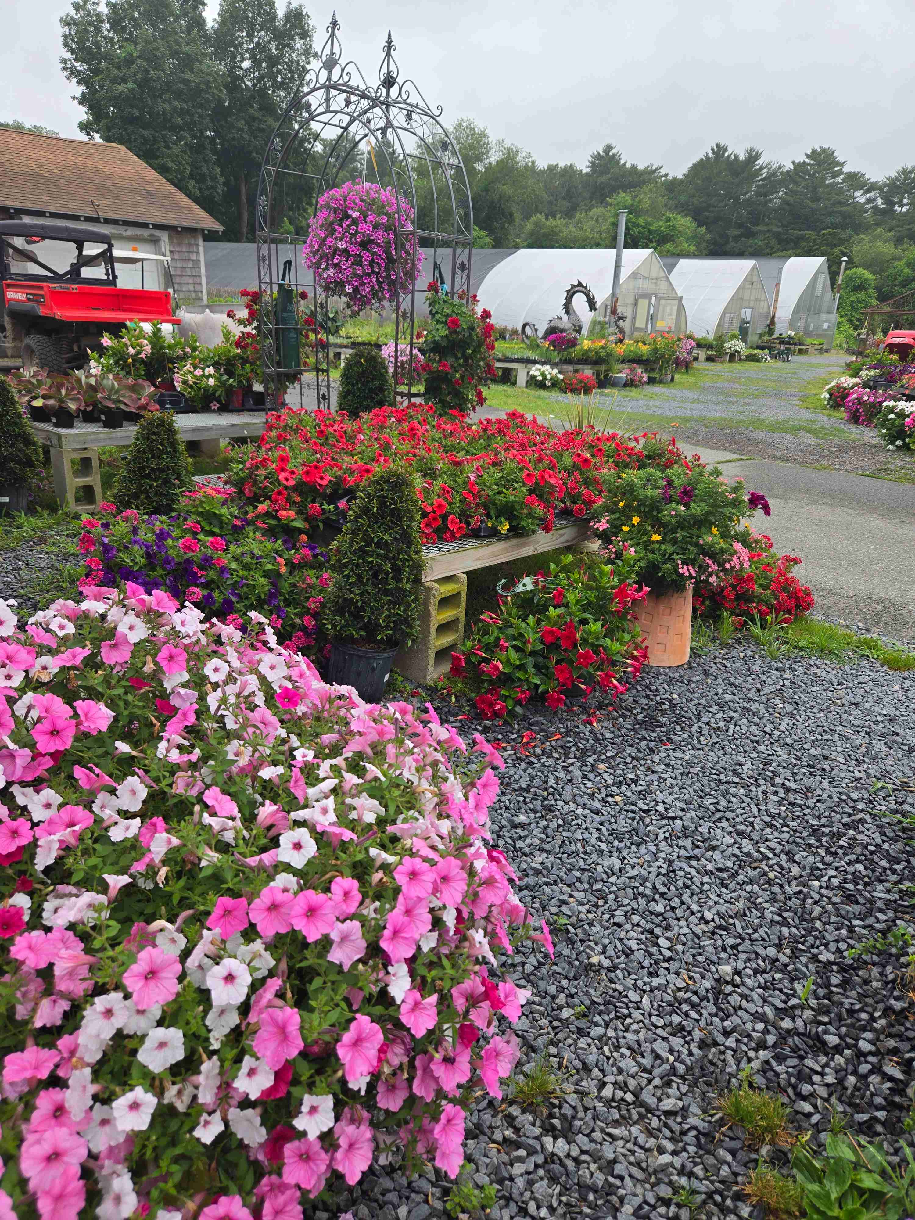 Local Gems: My Favorite Spots In and Around Taunton, MA cover photo collage