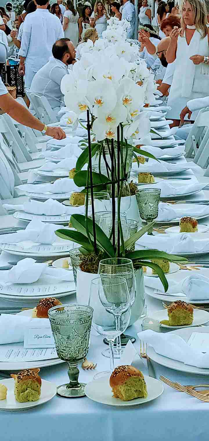 Elevated Soirees cover photo collage