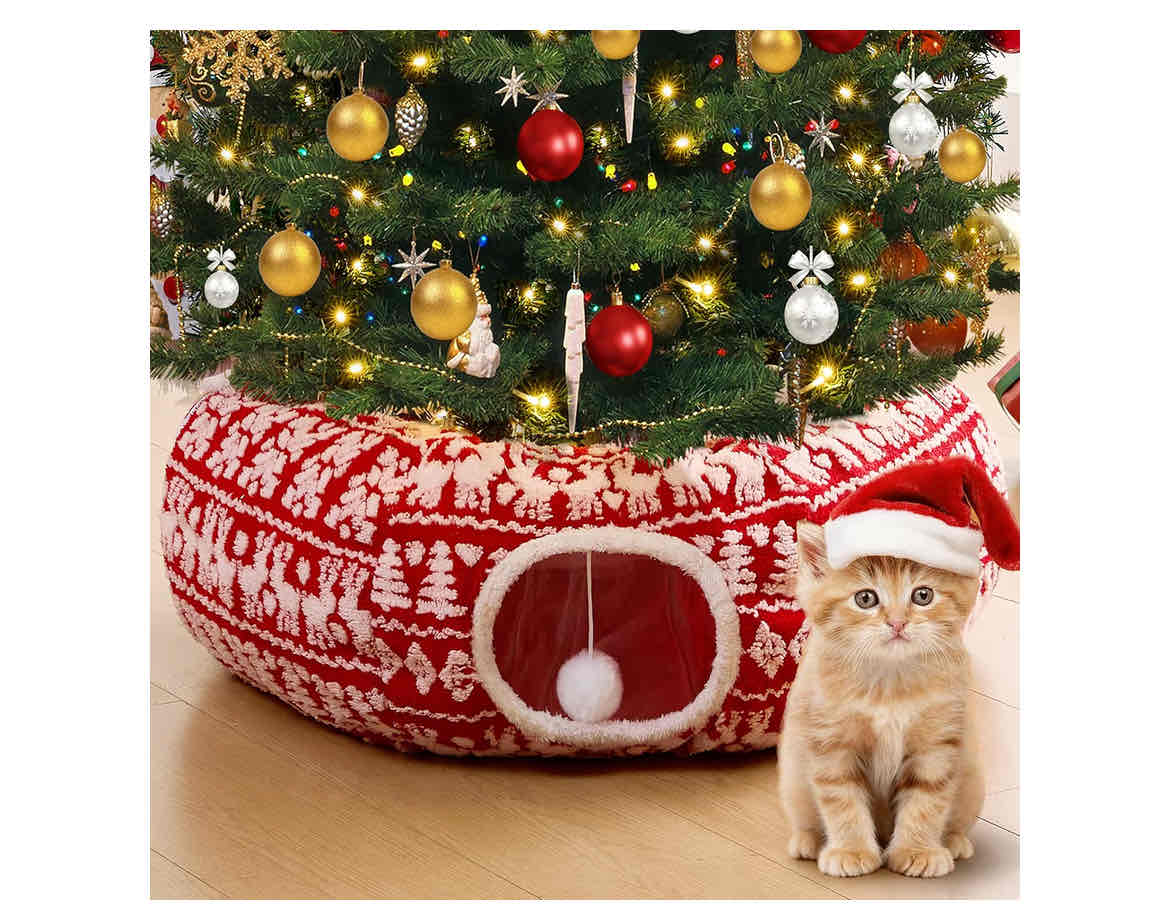 All Things Cats cover photo collage