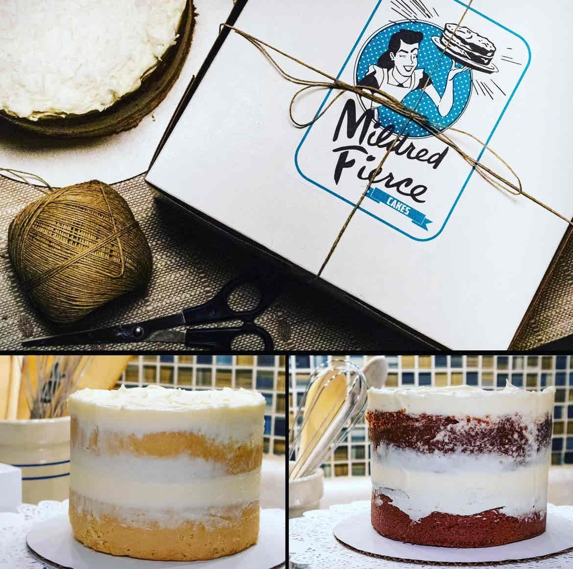 Small Businesses You May Not Know About! (Mainly in Knoxville, TN) cover photo collage